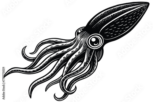 Argentine shortfin squid aquatic animal black and white vector