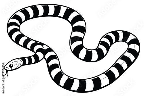 banded sea krait black and white vector