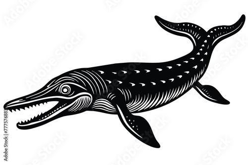 basilosaurus black and white vector