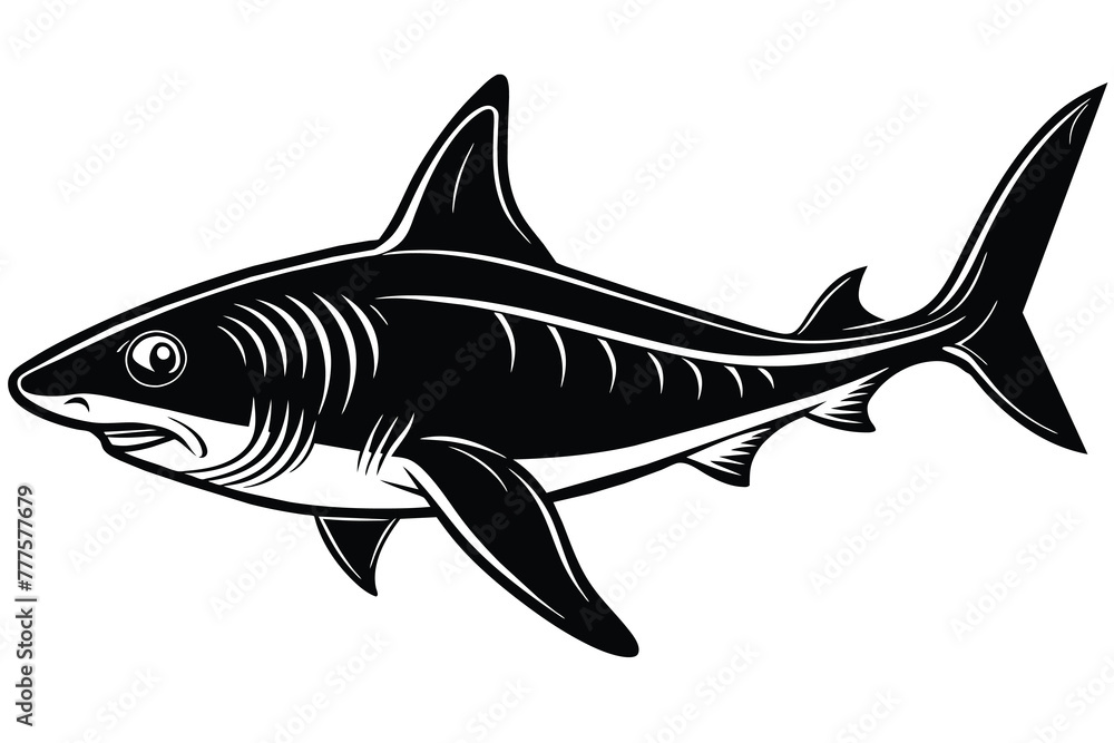Obraz premium black and white bonnethead shark vector