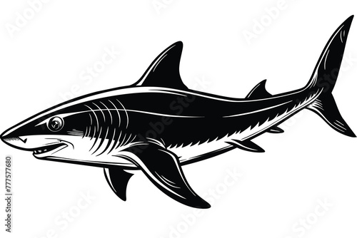 black and white bonnethead shark vector