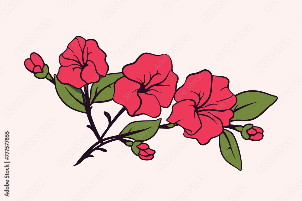Fototapeta premium Bougainvillea flower vector