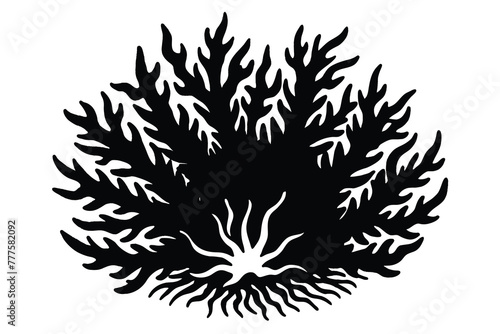 black and white fire coral vector photo