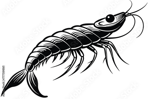 krill vector