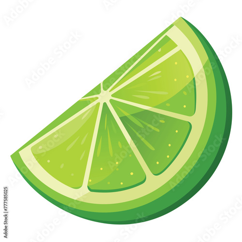 lime wedge vector on isolated background