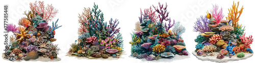 Coral garden with diverse marine life Hyperrealistic Highly Detailed Isolated On Transparent Background Png File