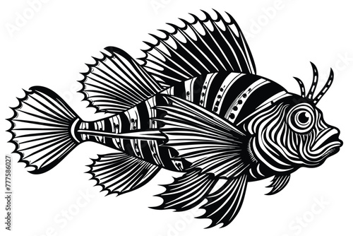 scorpionfish vector