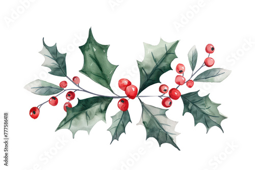 christmas arrangement of water colored holy leaves on isolated transparent background