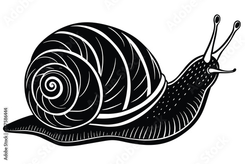 sea snail vector