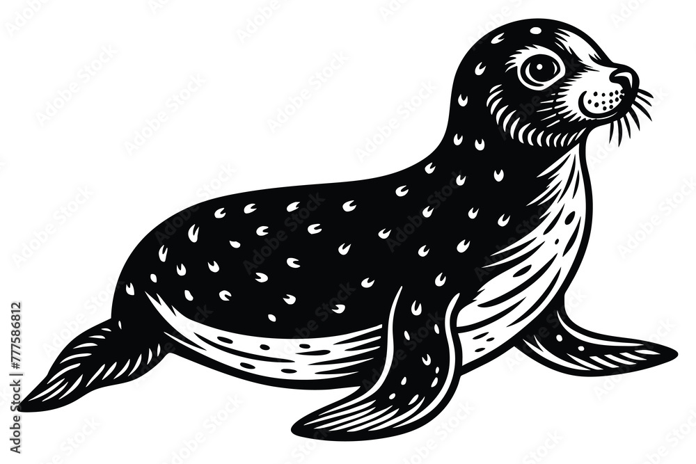 Fototapeta premium seal aquatic animal vector