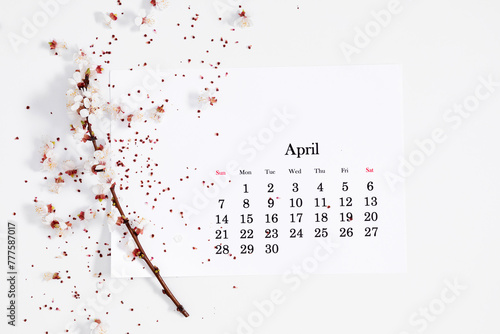 Flat lay, top view of paper desk calendar for April 2024, blooming tree branches with white flowers on isolated white background.