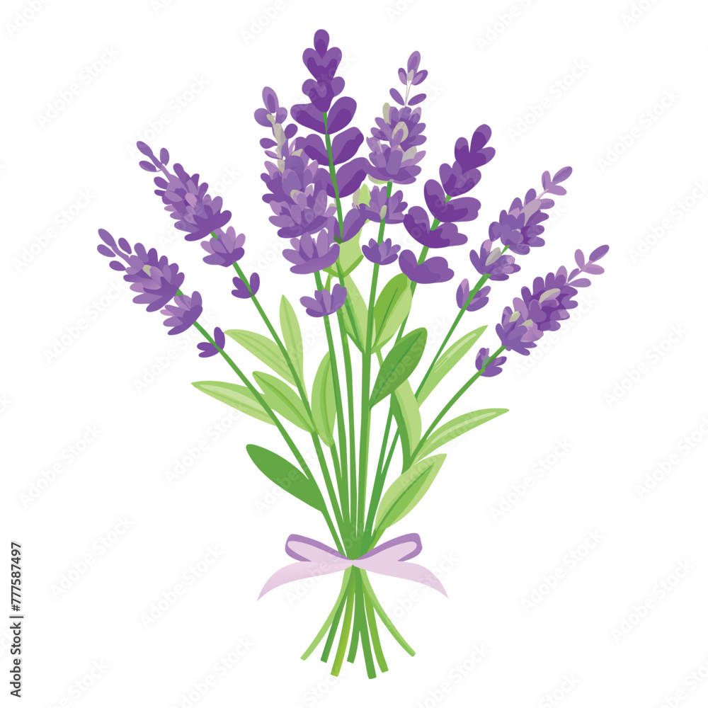 spring of lavender vector on isolated background spring of lavender vector on isolated background