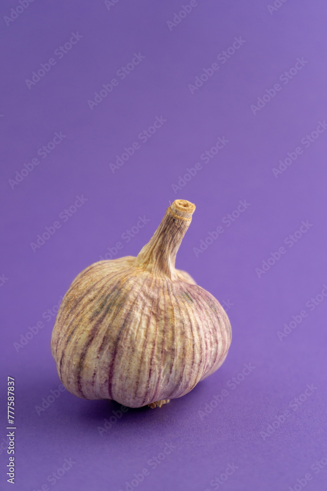 Fototapeta premium Dried garlic bulb against purple background. Ideal for culinary or health-related projects.