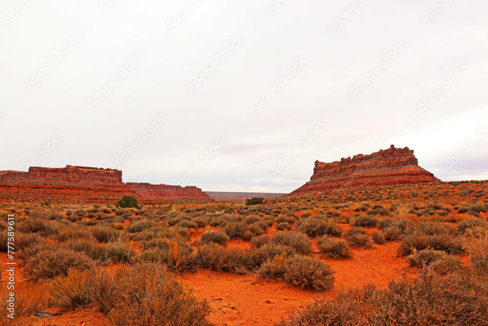 Fototapeta premium Valley of the Gods in Utah, USA 