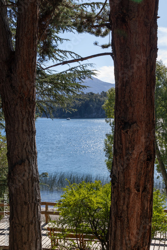 Vertical view of a crystaline relaxing blue lake framed between two brown texturized tree barks and vegetation leaves in Isla Victoria, Argentina