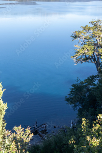 Calm and tranquil scenery of pretty reflections of wild vegetation in blue water