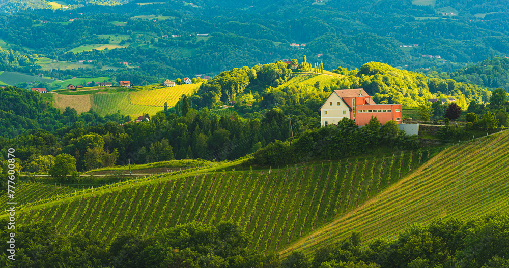 Beautiful landscape of Austrian vineyards in south Styria. Famous Tuscany like place to visit.