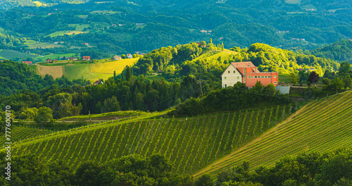 Beautiful landscape of Austrian vineyards in south Styria. Famous Tuscany like place to visit.