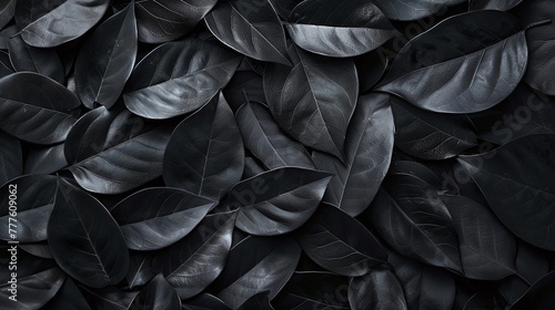 tropical leaf background with abstract black leaves textures  flat lay dark nature concept
