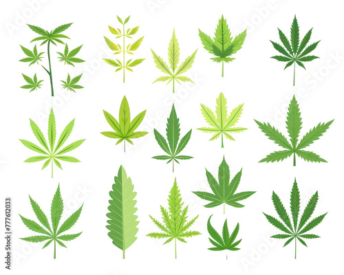 Minimalist Cartoon of Diverse Marijuana Leaves on White Background