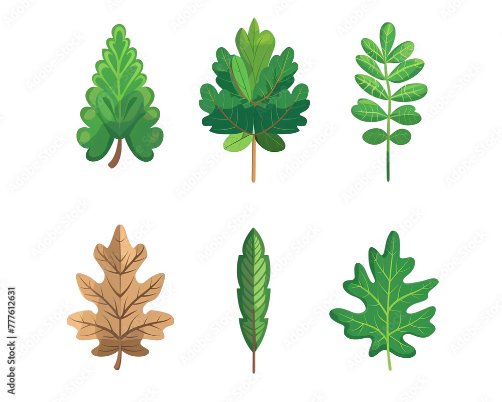 Leaves set isolated on white background PNG transparent background. Leaves set isolated on white background PNG transparent background.