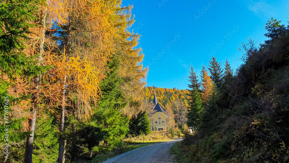 Fototapeta premium Panoramic hiking trail through idyllic forest in autumn leading to church Schoenanger in Grebenzen, Gurktal Alps, Styria, Austria. Colourful trees in tranquil serene atmosphere in Austrian Alps