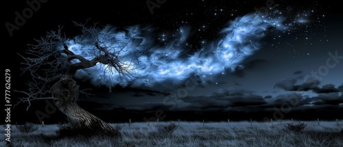   A monochrome image of a solitary tree in a field against a backdrop of starlit sky and clouds