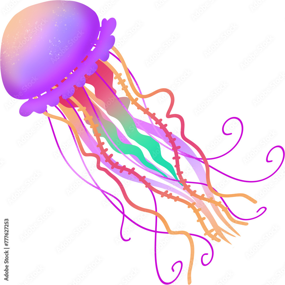 Fototapeta premium Coelenterata