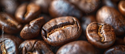 A close-up view of a mound of shiny, roasted coffee beans, glistening with oils.