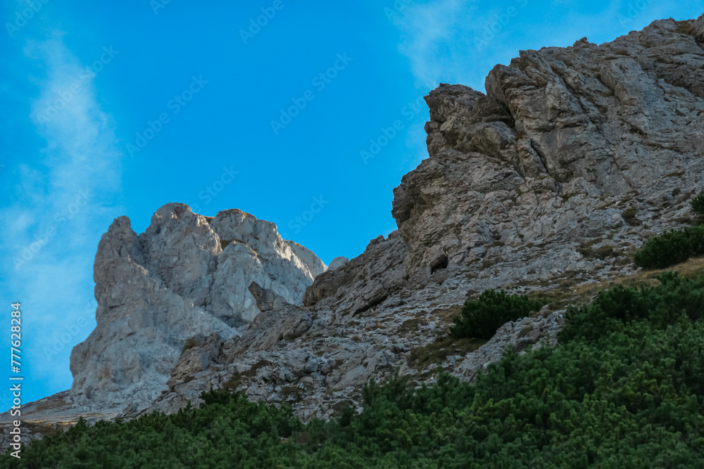 Panoramic view of majestic steep mountain peak Foelzstein in untamed Hochschwab mountain region, Styria, Austria. Scenic hiking trail on sunny day in remote Austrian Alps. Wanderlust in alpine summer Panoramic view of majestic steep mountain peak Foelzstein in untamed Hochschwab mountain region, Styria, Austria. Scenic hiking trail on sunny day in remote Austrian Alps. Wanderlust in alpine summer