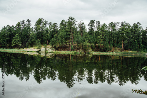 Wide view of lake with reflection of evergreen trees and sky photo