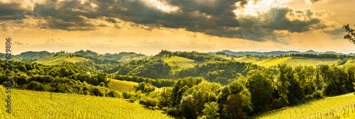 South styria vineyards landscape, near Gamlitz, Austria, Eckberg, Europe. Grape hills view from wine road in spring.