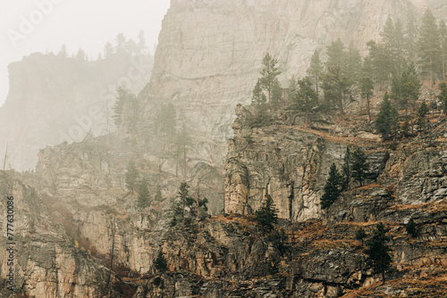 Foggy cliffs at Blodgett Canyon in Hamilton, Montana photo