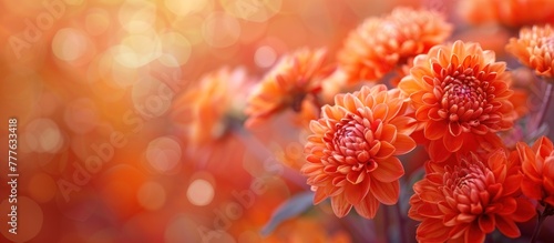 Detailed view of a bunch of bright orange flowers, displaying intricate petals and vibrant colors.
