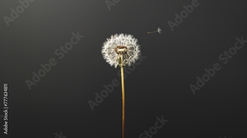 A minimalist composition featuring a solitary dandelion standing tall against a stark black background  its seed suspended in the air  Plenty of copy space  real photo  stock photography generative ai