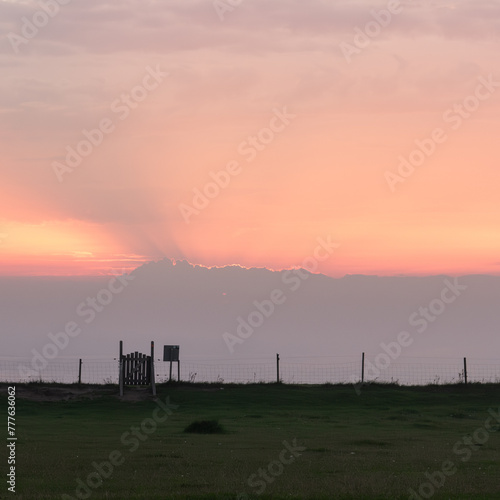 Green rural field against the backdrop of the pink sky at sunset