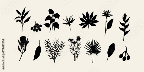 Flat vector tropical flowers and plants collection