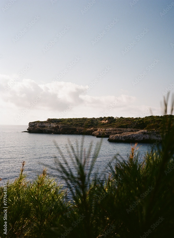 Beautiful Landscape Beautiful Landscape