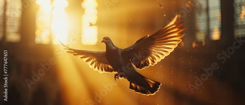catholic vibes, pigeon and cross, light