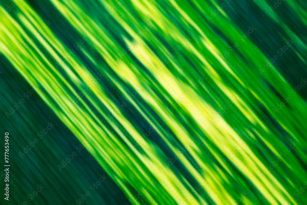 Green Leaf Texture, close up Green Leaf Texture, close up