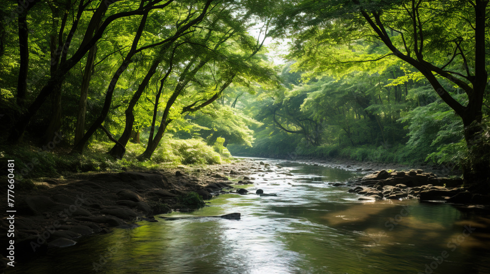 river in the forest. river in the forest.