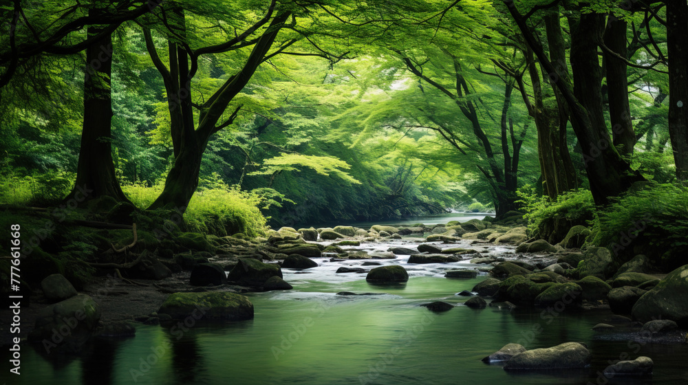 Obraz premium river in the forest.