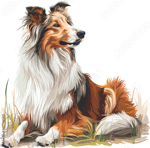 Rough Collie Dog adorable art vector illustration