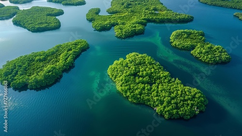 Pristine waters surround lush green islets