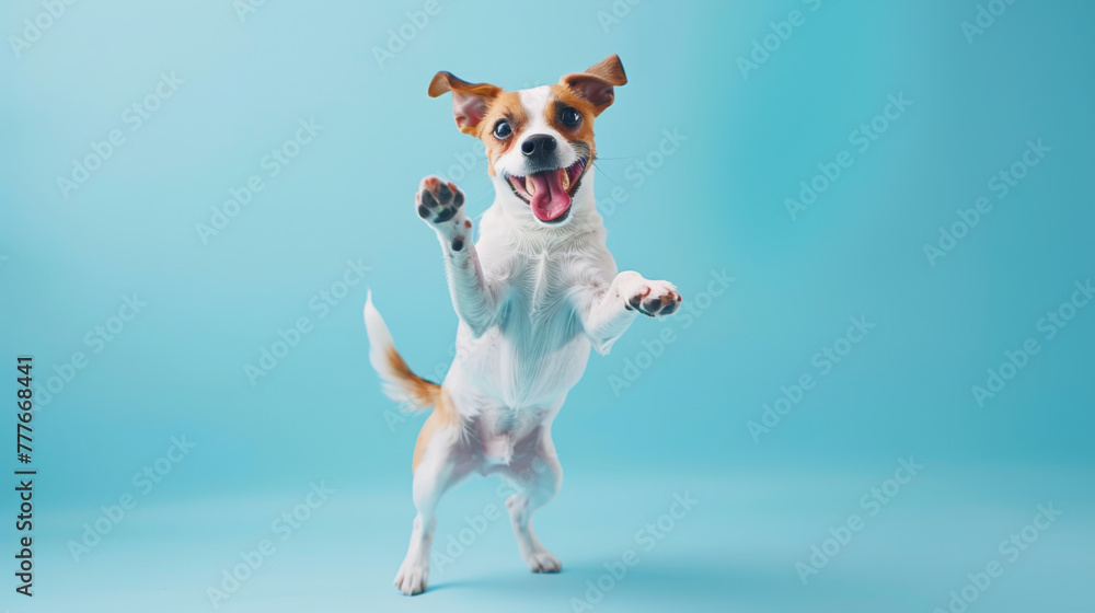 A playful dog is mid-jump, exuding joy and energy against a blue background.