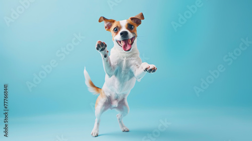 A playful dog is mid-jump, exuding joy and energy against a blue background. © Alena