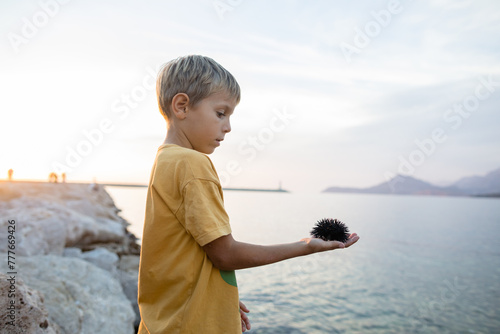 Little boy and a sea urchin photo