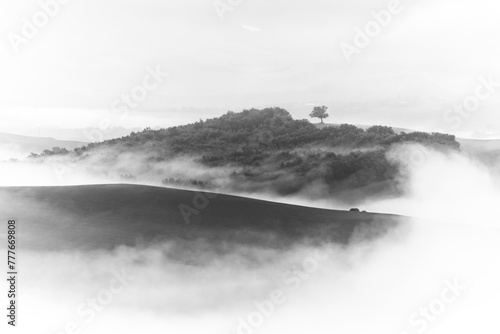 Mystical landscape of Italian Tuscany with lonely trees in the middle of rolling fields in thick fog in black and white