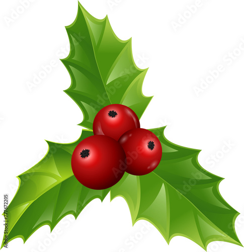 Twig of holly with leaves and berries on transparent,png.Christmas and New Year decoration.illustration of plant element