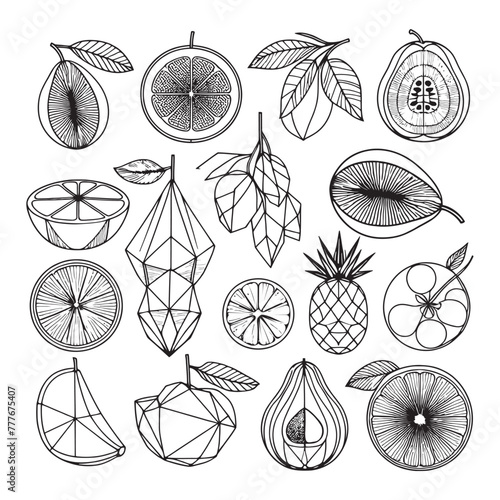 Printset of geometric fruits in one line. minimalist illustration of geometric abstract fruits photo